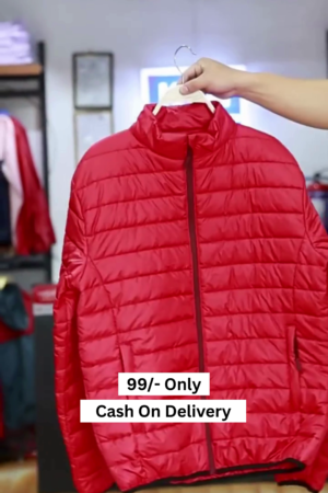 Men Solid Mock Collar Puffer Jacket